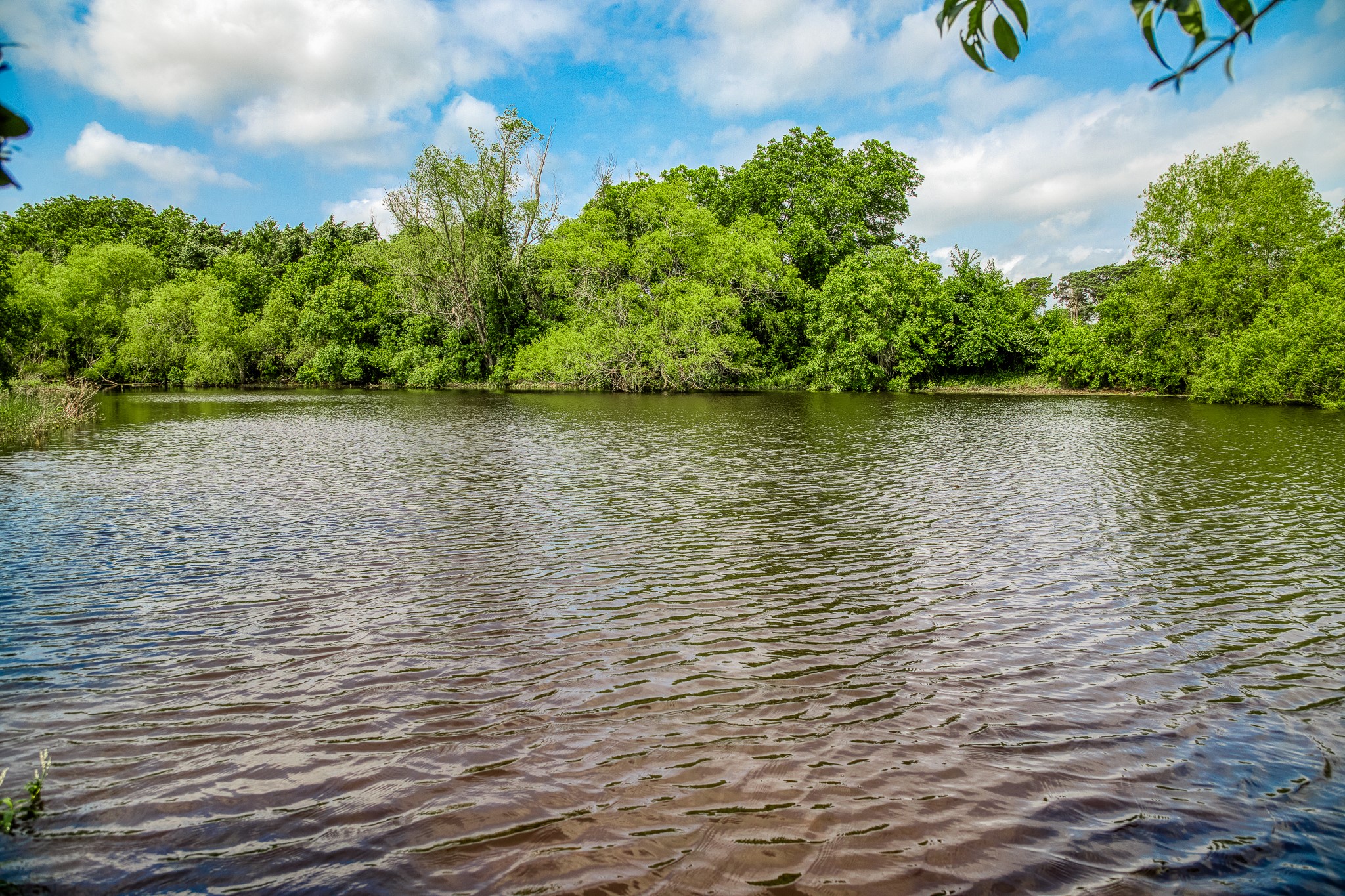 7023 Wolters Road Schulenburg, TX 78956 - Photo 44 of 49 a view of a lake with houses