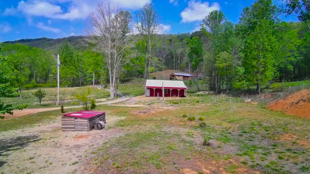 3325 Pack Mountain Road Murphy, NC 28906 - Photo 49 of 69