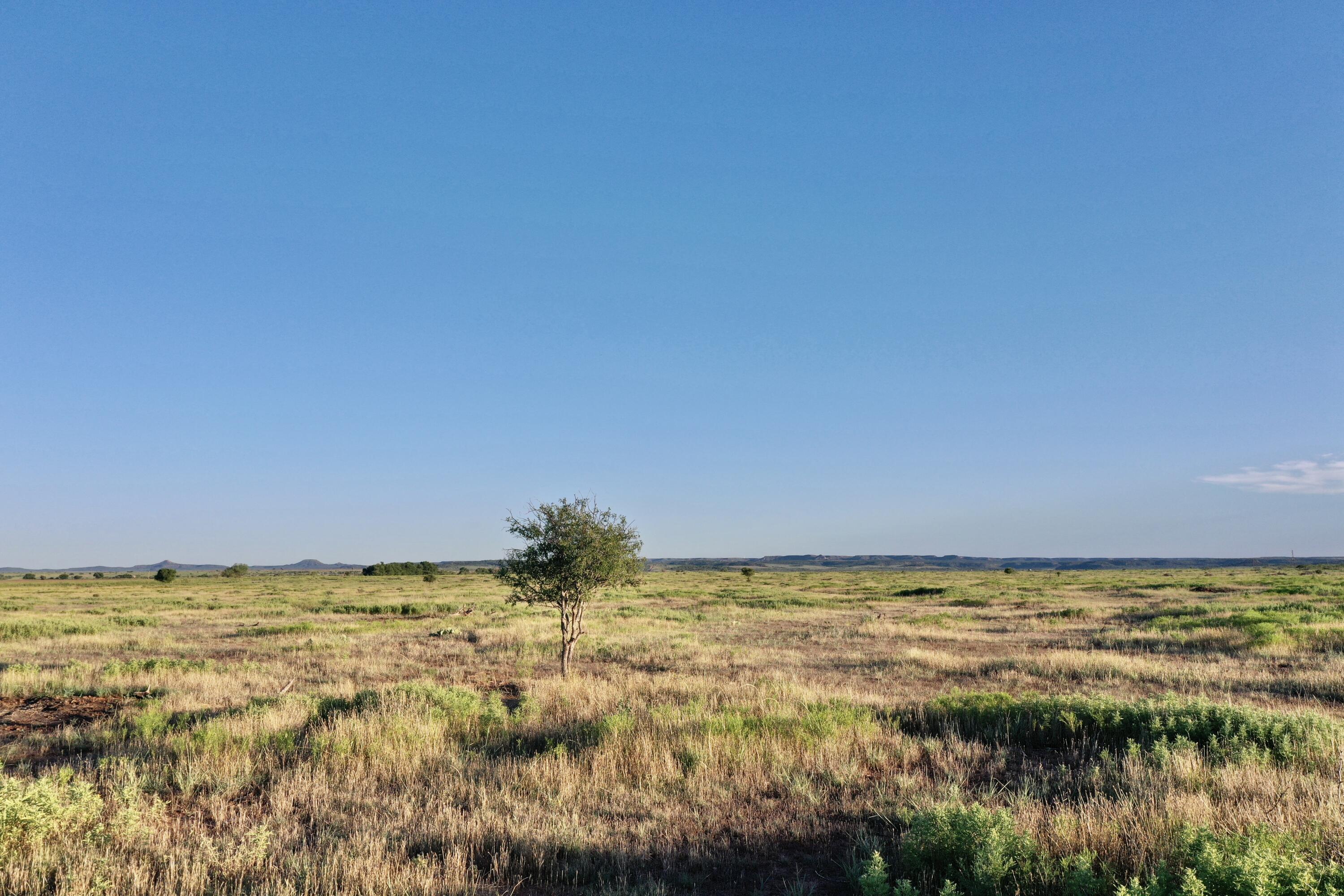 0 Fm 689 Lockney, TX 79241 - Photo 12 of 23 a view of an ocean