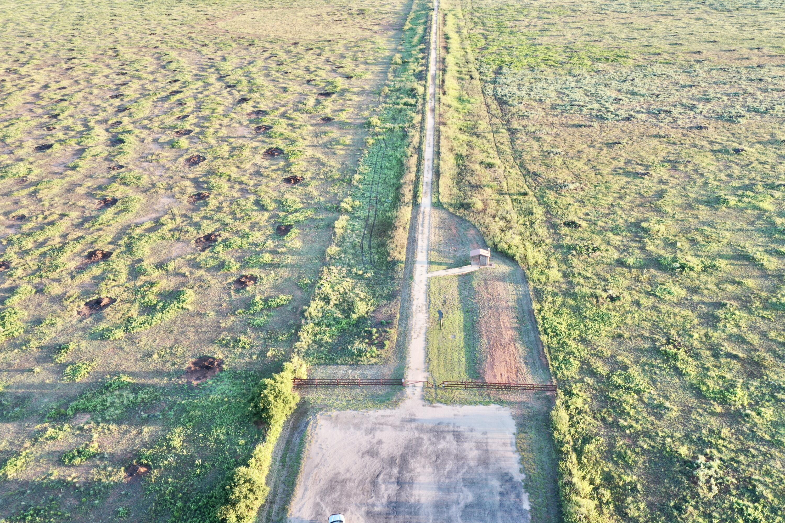 0 Fm 689 Lockney, TX 79241 - Photo 17 of 23 a view of a yard with plants and large trees