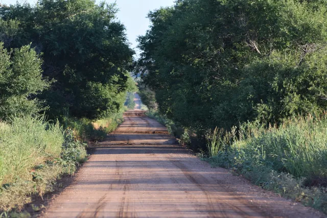 a view of a lake in middle of forest