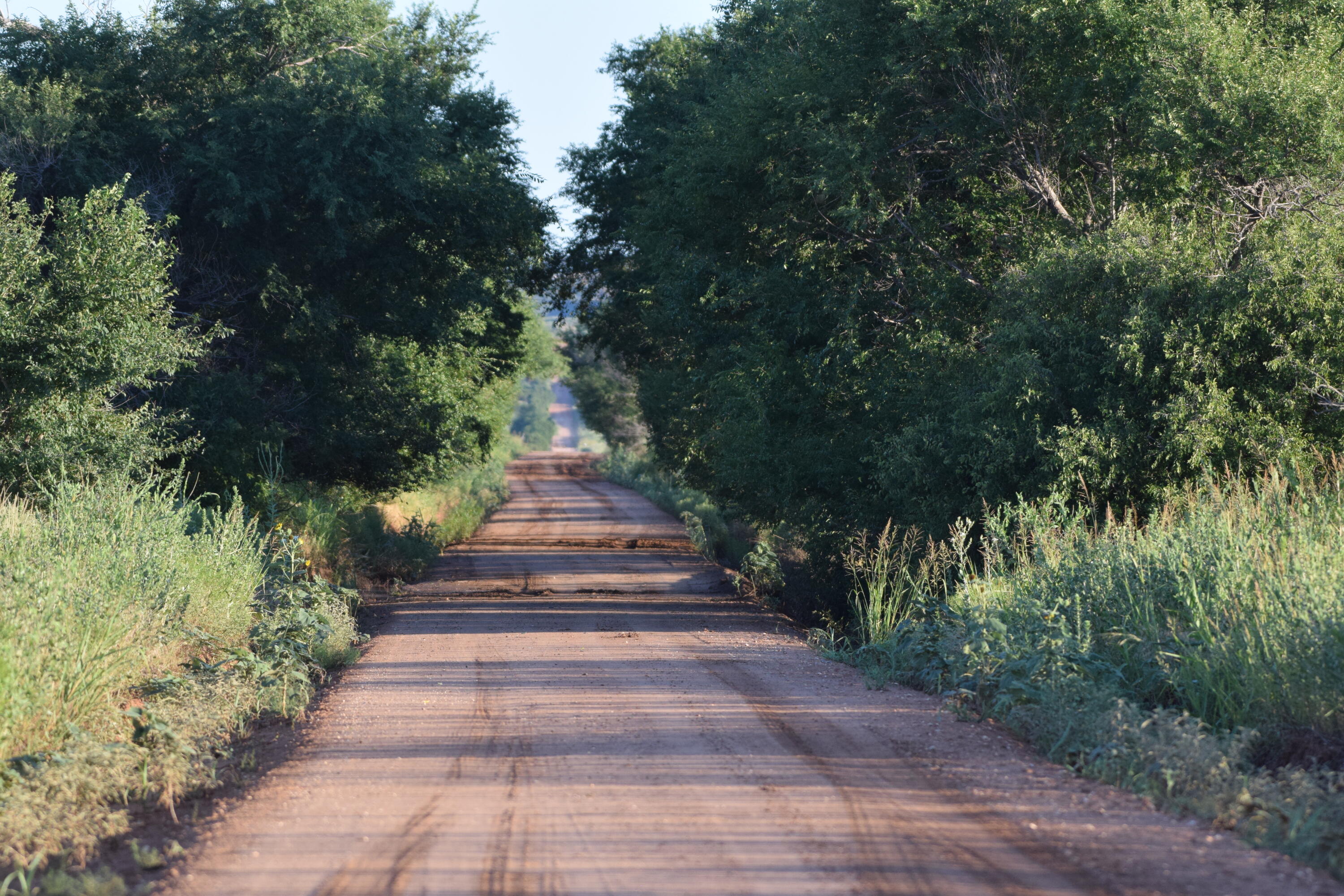 0 Fm 689 Lockney, TX 79241 - Photo 19 of 23 a view of garden with pathway