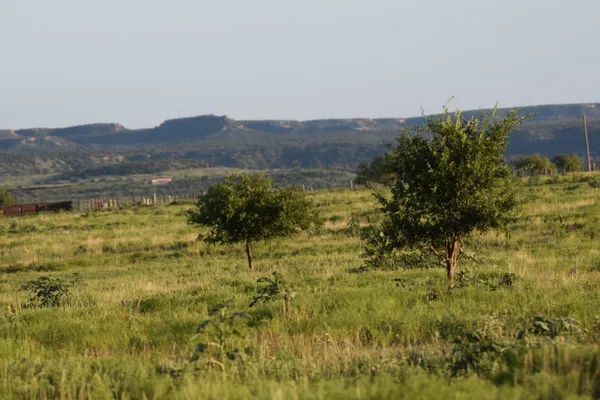 a view of a lake in a field