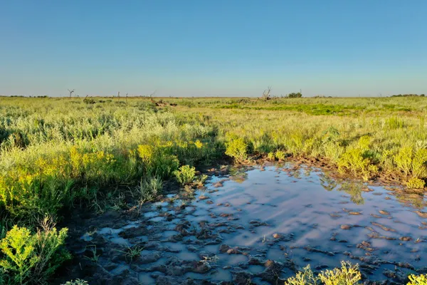a view of an ocean view
