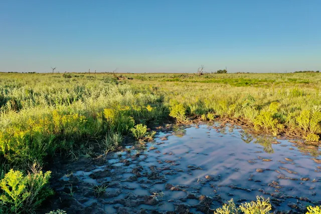 a view of an ocean view