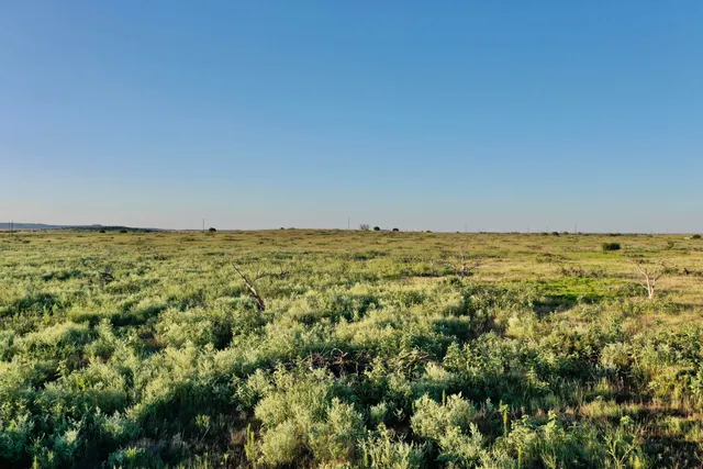 a view of a sky from a yard