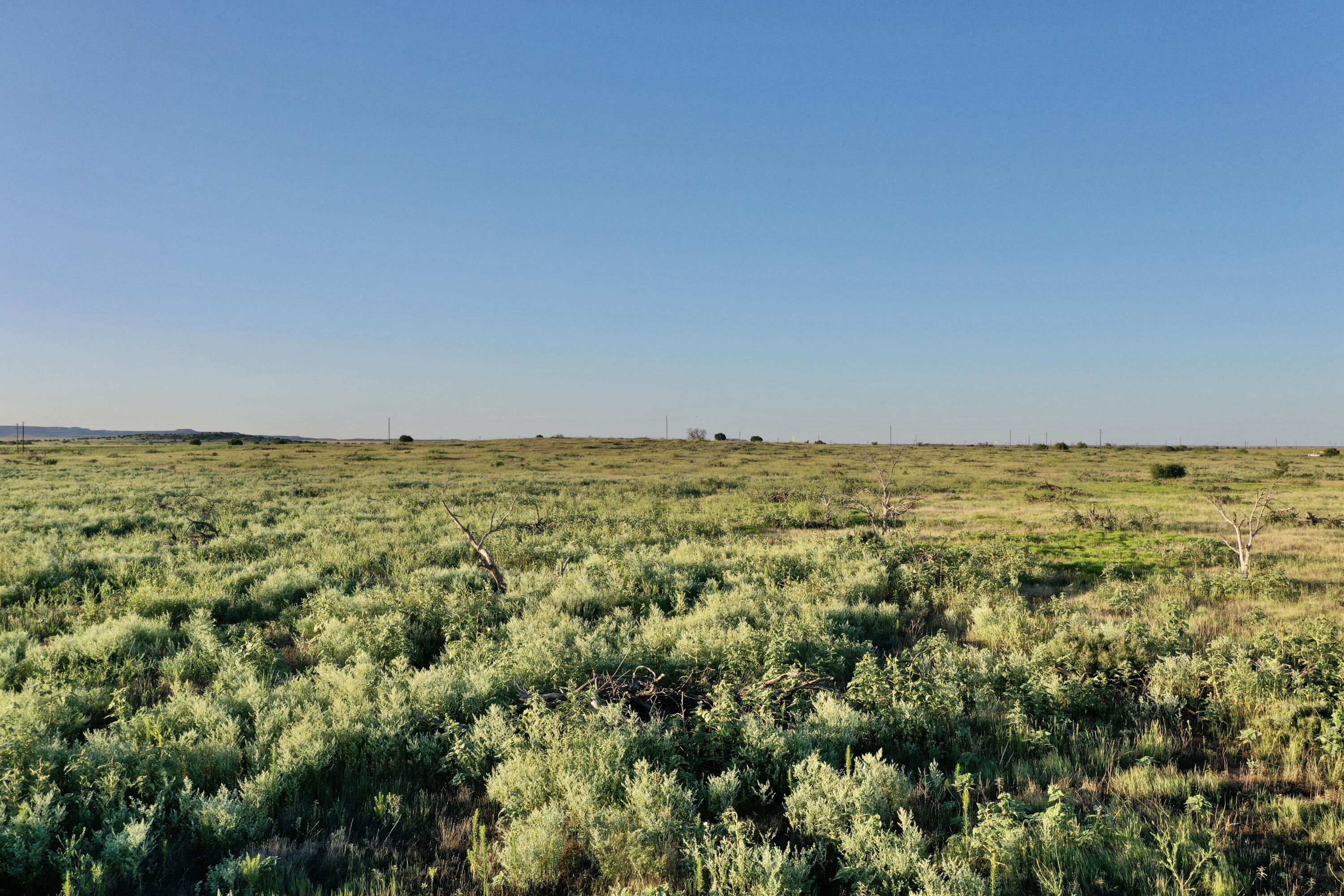 0 Fm 689 Lockney, TX 79241 - Photo 8 of 23