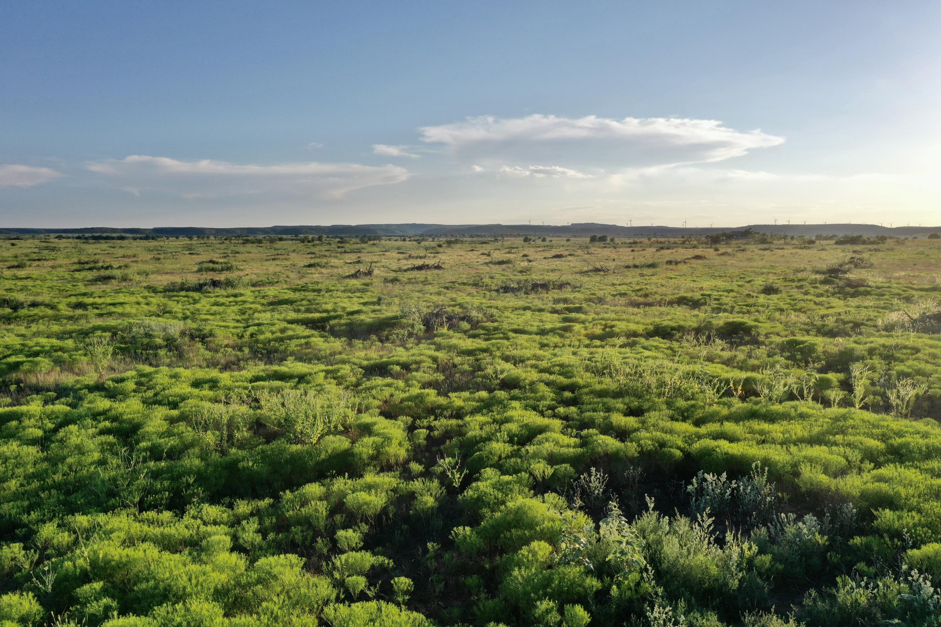 0 Fm 689 Lockney, TX 79241 - Photo 9 of 23 a view of a sky from a yard