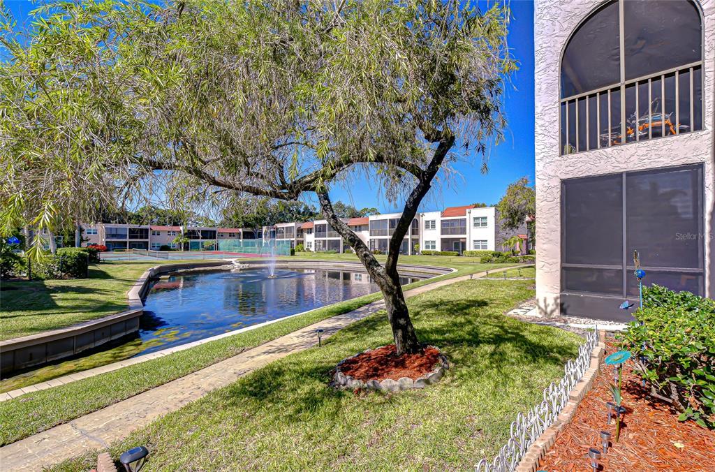 9700 Starkey Road, Unit 111 Seminole, FL 33777 - Photo 32 of 46 a view of a house with a yard