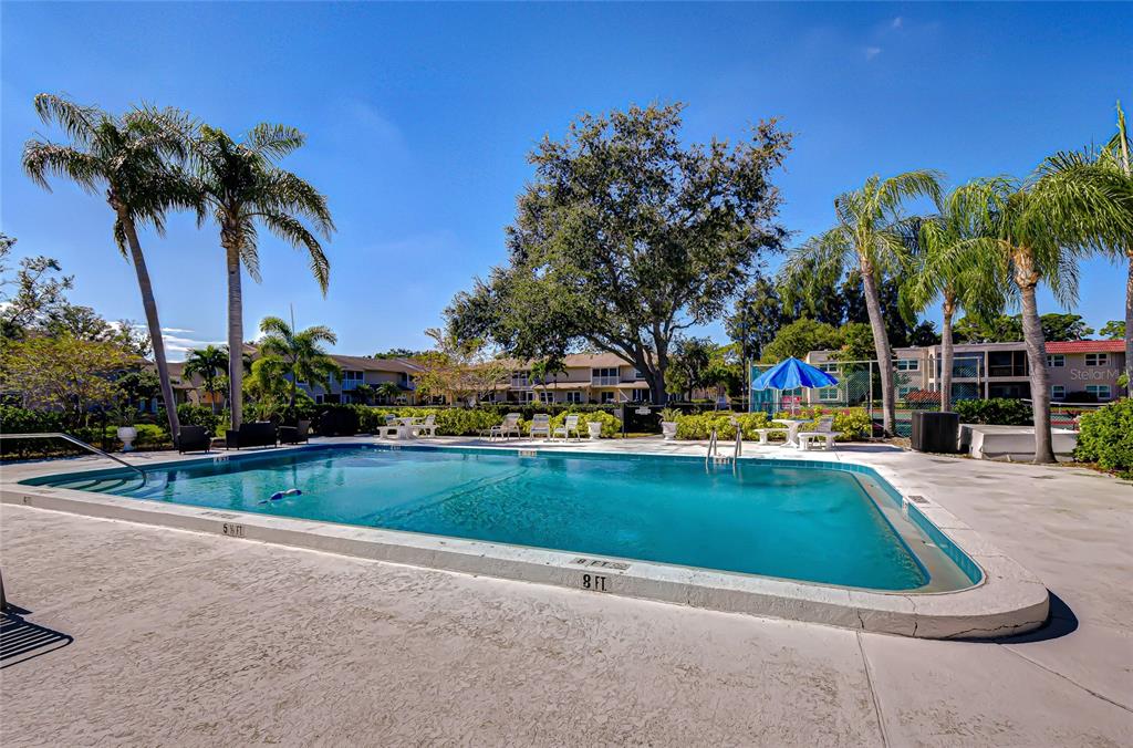 9700 Starkey Road, Unit 111 Seminole, FL 33777 - Photo 37 of 46 a view of swimming pool