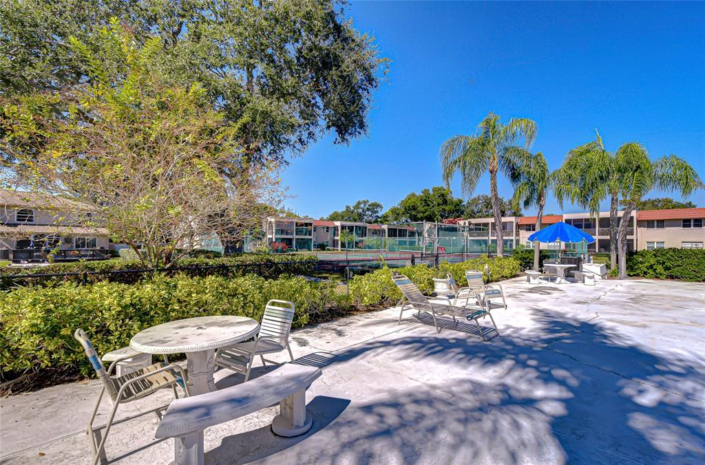9700 Starkey Road, Unit 111 Seminole, FL 33777 - Photo 40 of 46 a view of swimming pool with outdoor seating and yard