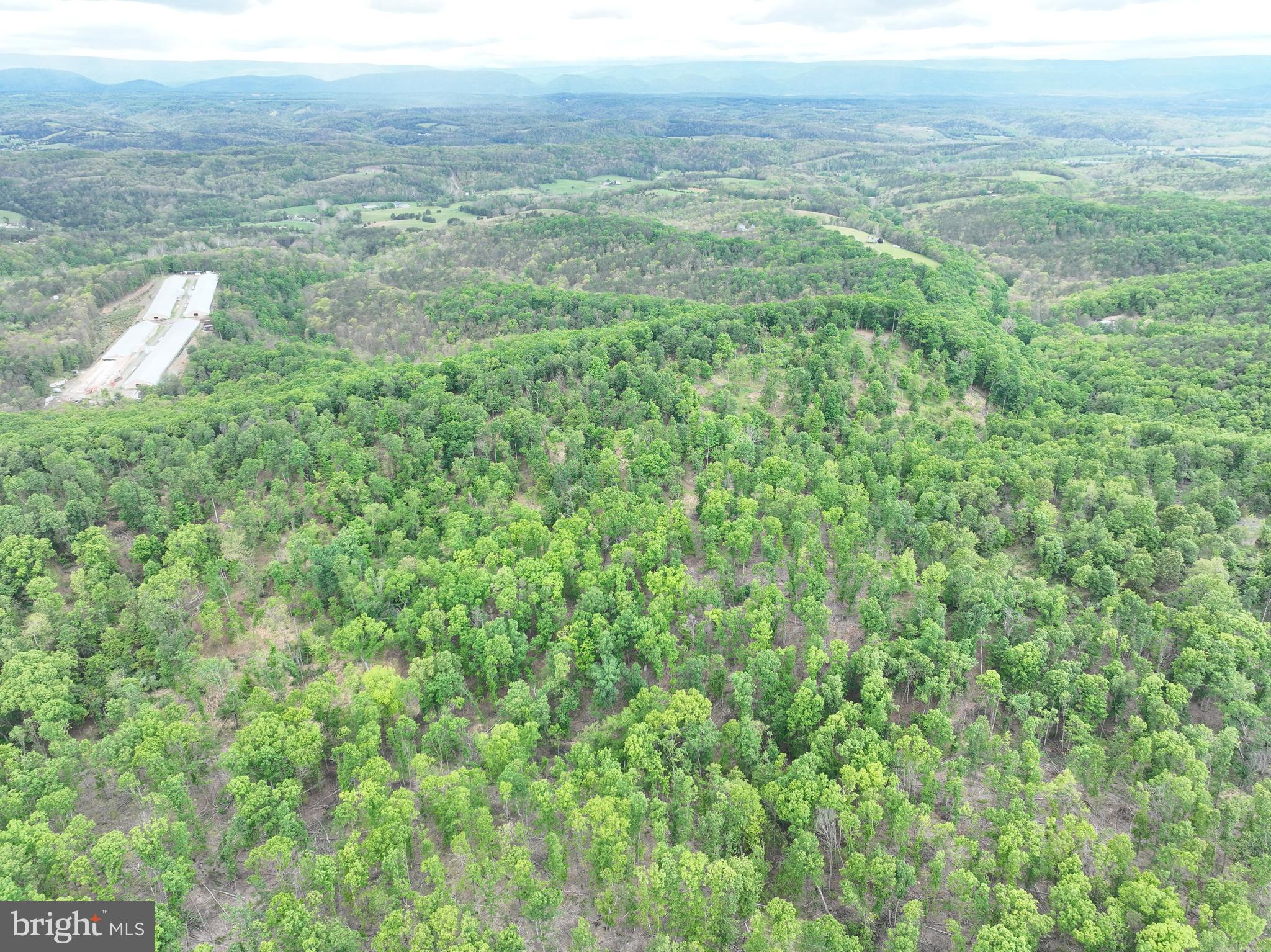 40.15-ac Middle Ridge Road Burlington, WV 26710 - Photo 46 of 47