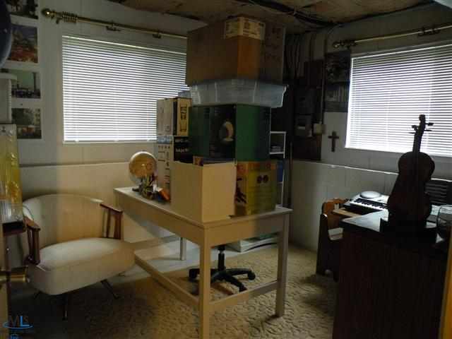 3371 Church Road Casco, MI 48064 - Photo 22 of 30 31124860-21.JPG