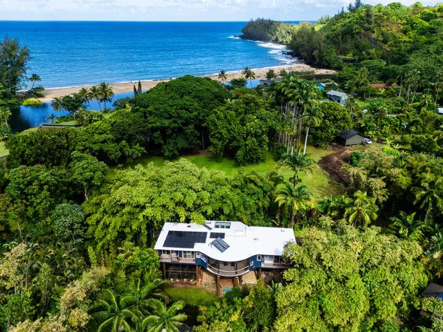 a vase of flowers sitting on a table next to a window