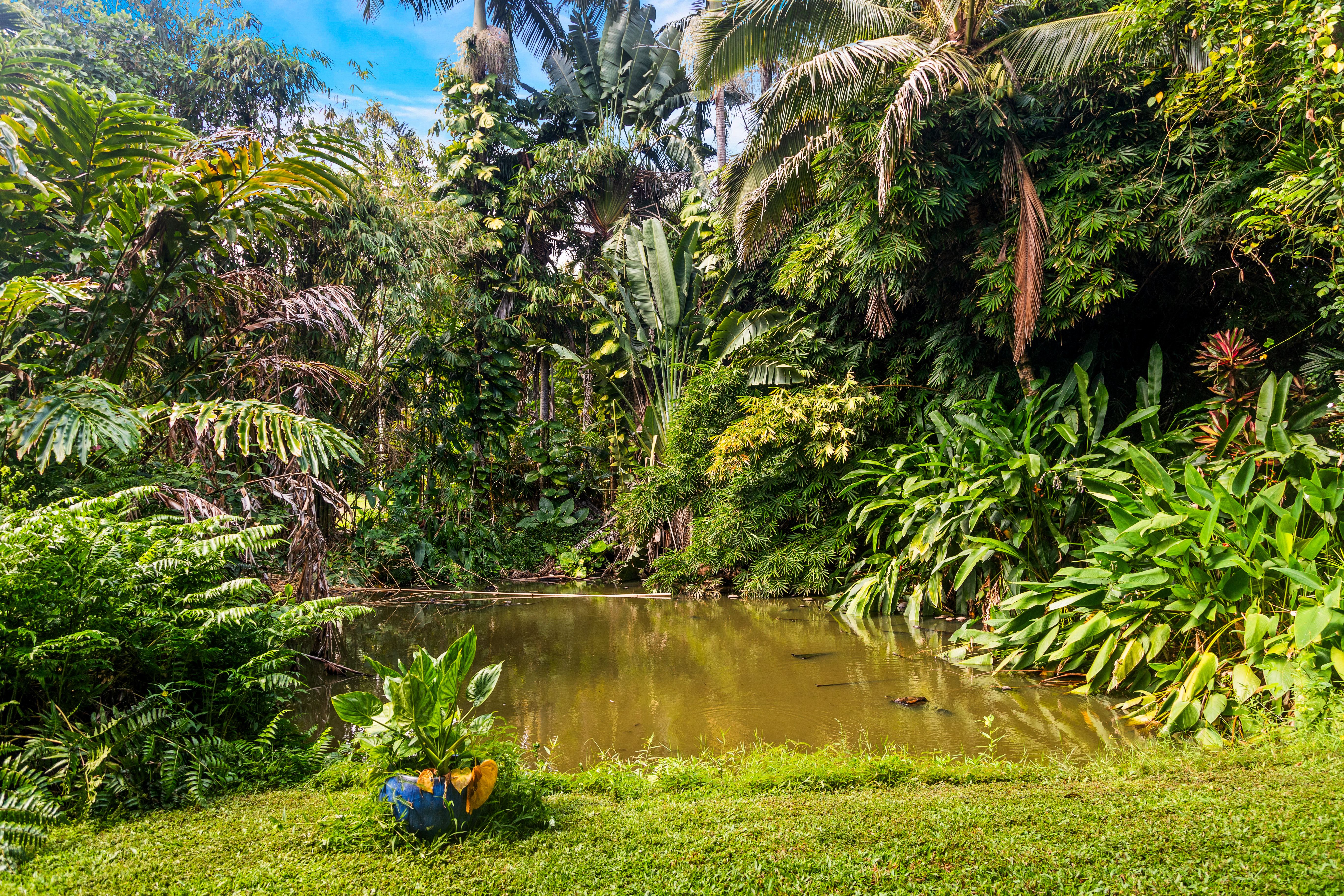 4558 A Ananalu Road Hanalei, HI 96714 - Photo 23 of 25 a view of a lake with a tree