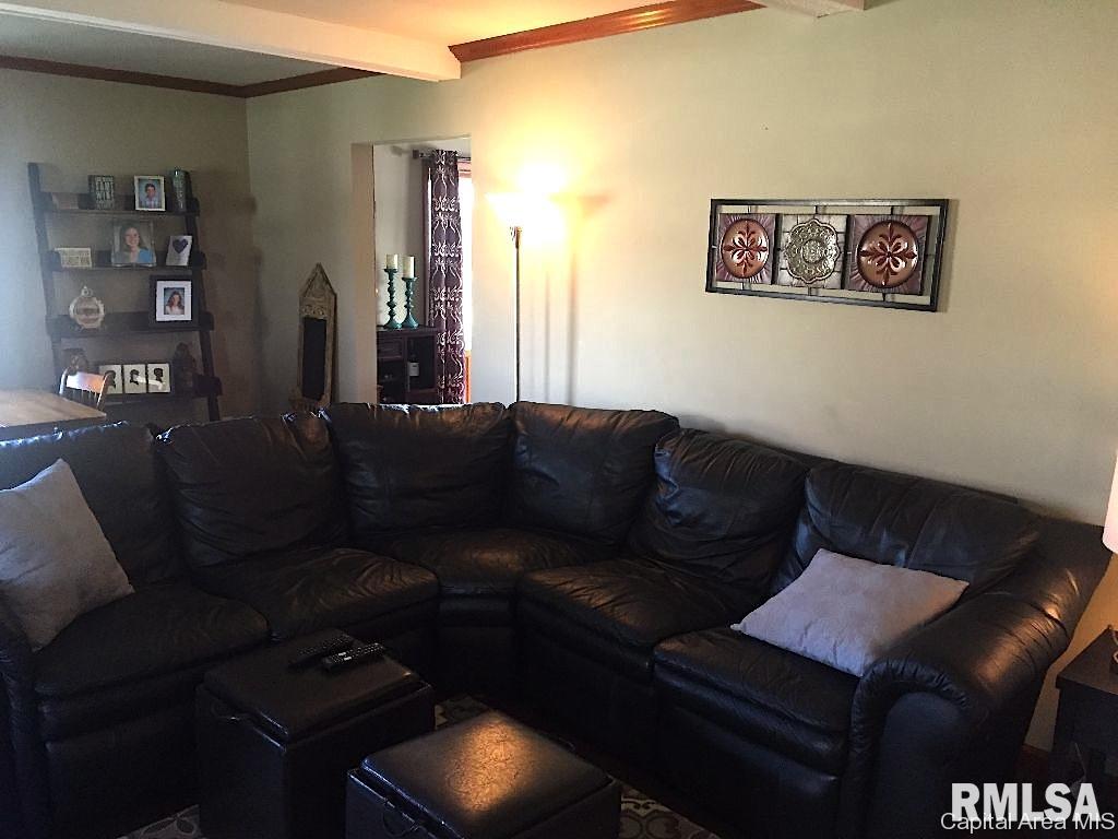 120 Willow Court Rochester, IL 62563 - Photo 6 of 31