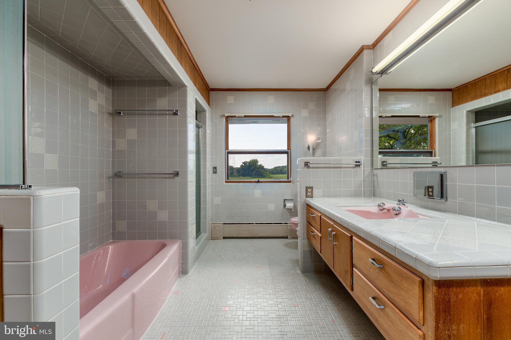 28178 Riverside Drive Salisbury, MD 21801 - Photo 49 of 73 Primary Bathroom