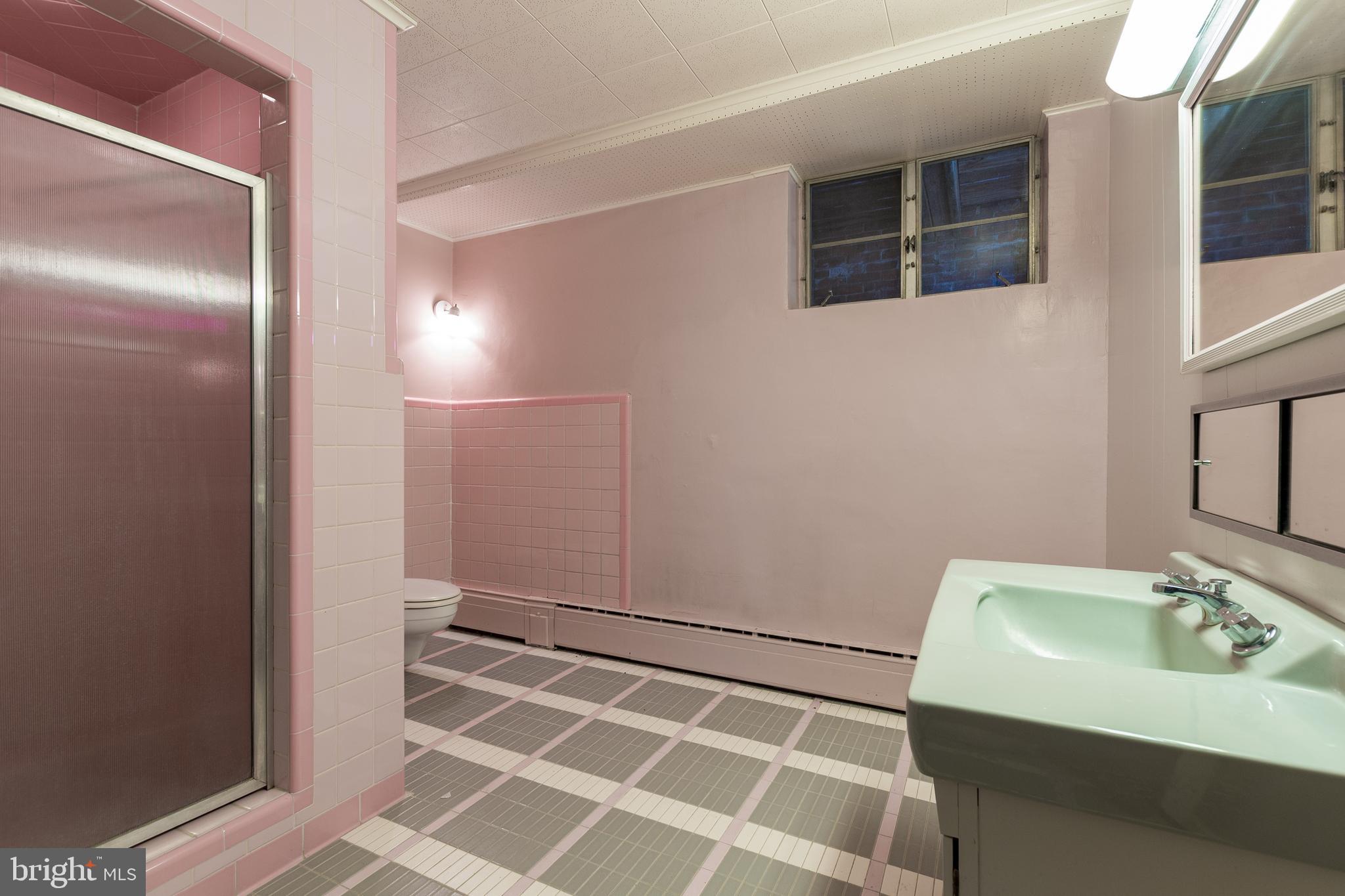 28178 Riverside Drive Salisbury, MD 21801 - Photo 59 of 73 3rd Full bathroom in basement