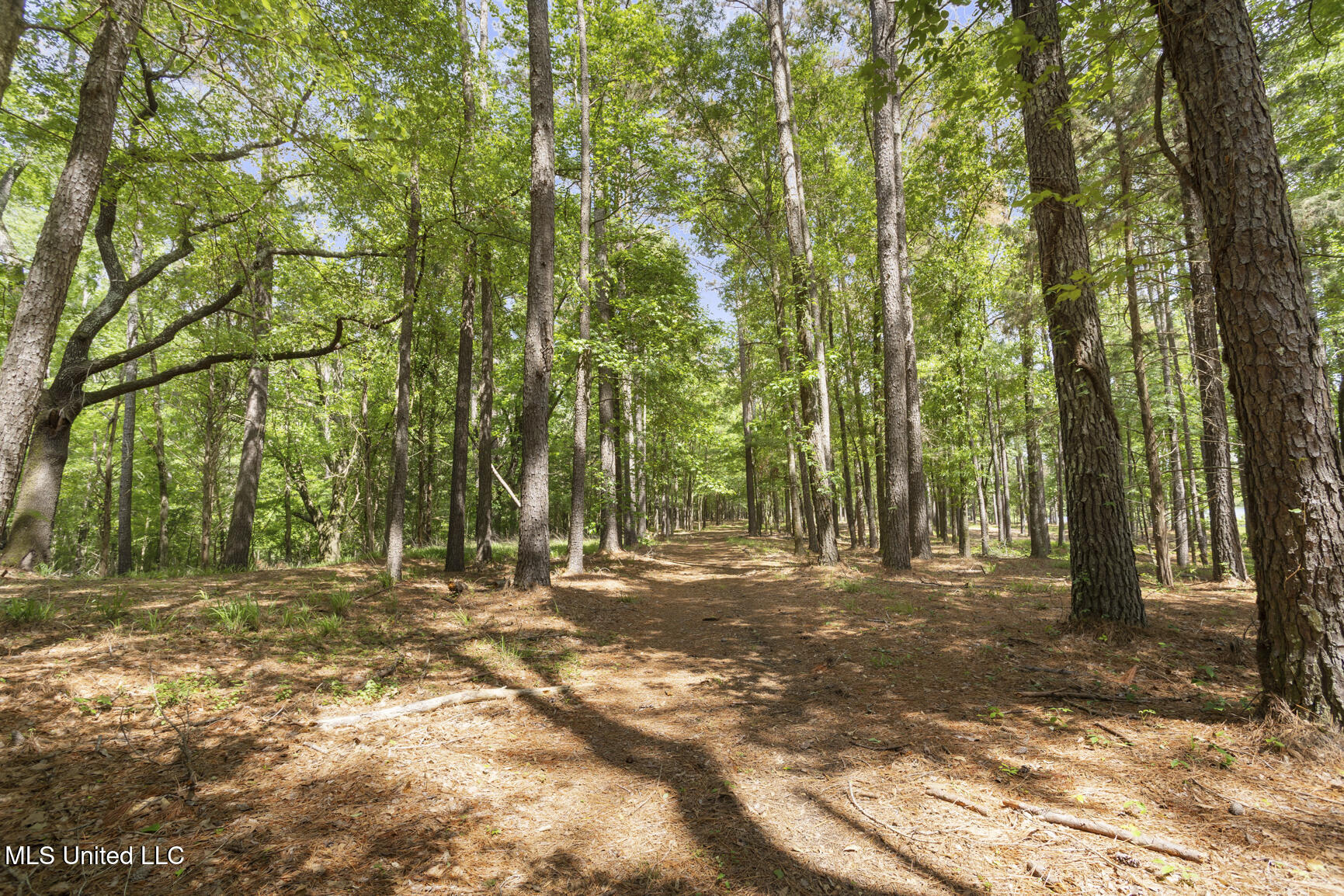 288 Morgan Road Canton, MS 39046 - Photo 11 of 66 288 Morgan Rd-56
