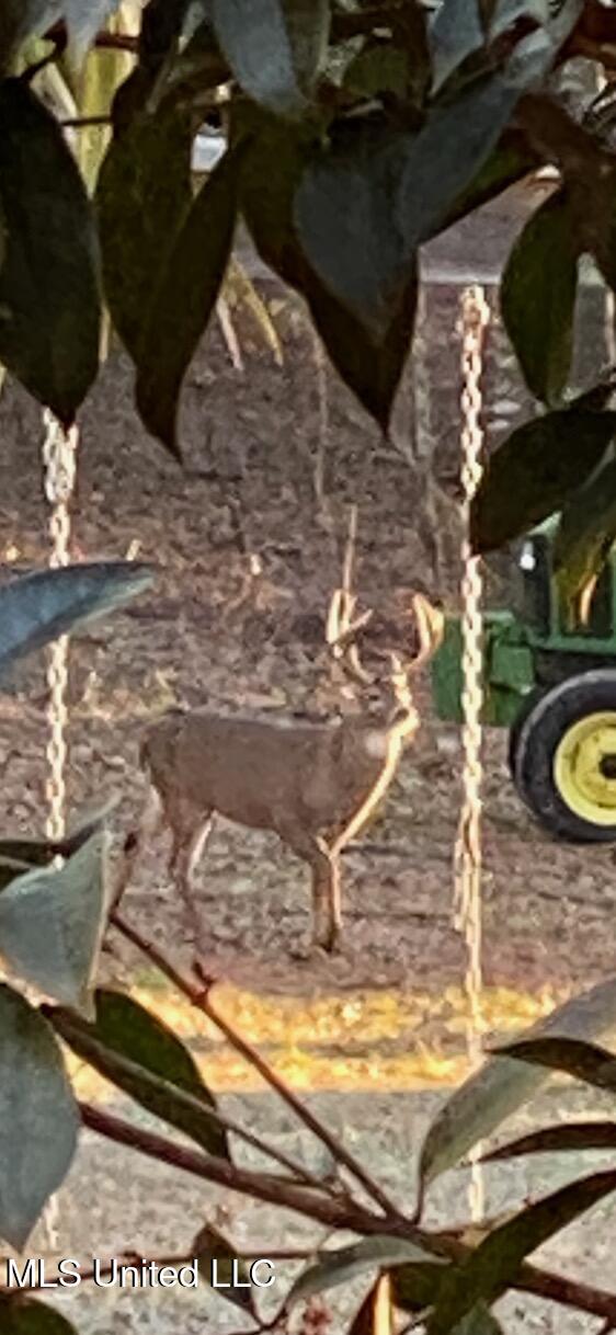 288 Morgan Road Canton, MS 39046 - Photo 52 of 66 48E875E7-0756-4E3F-BBE5-55E361C74D49