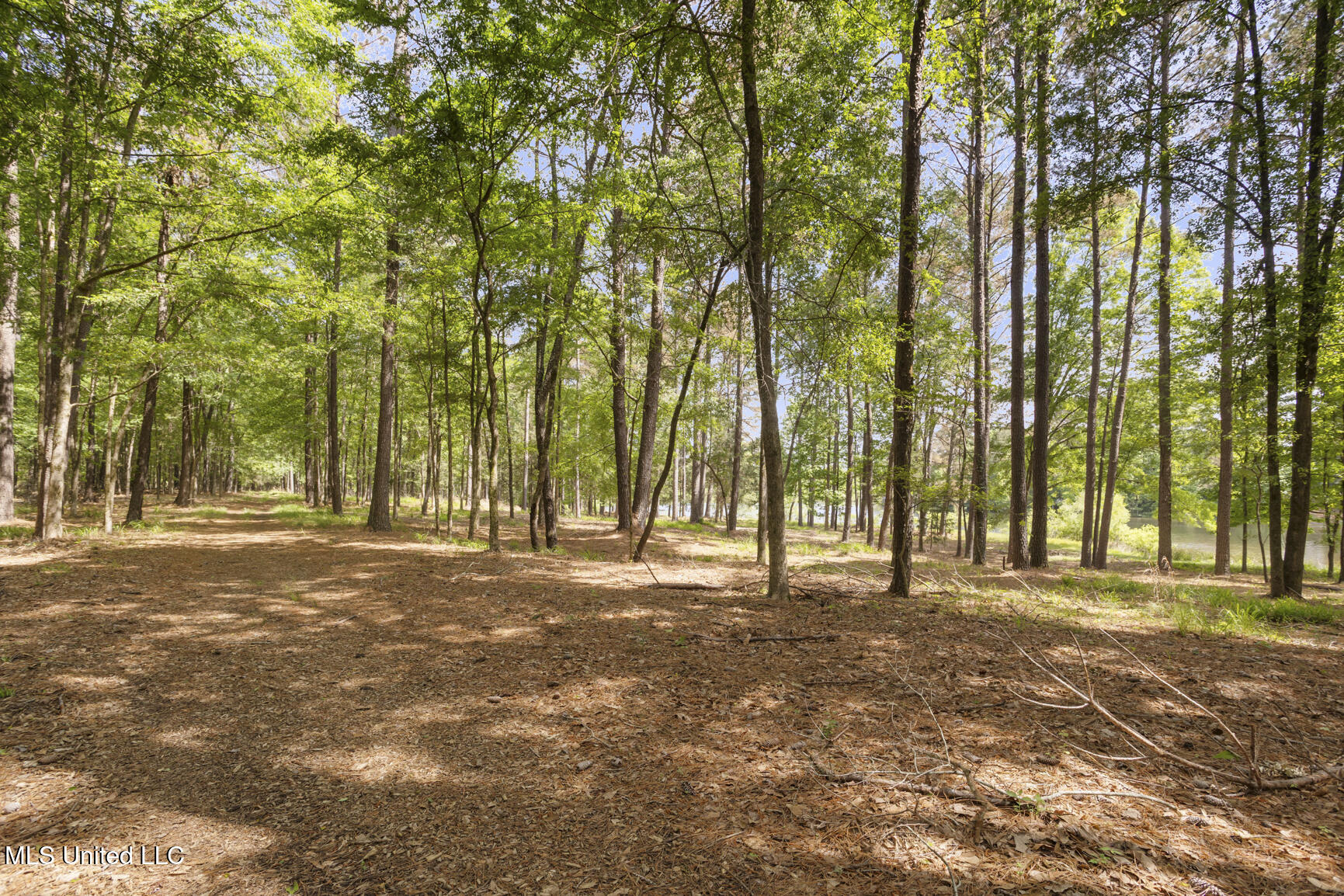 288 Morgan Road Canton, MS 39046 - Photo 55 of 66 288 Morgan Rd-57