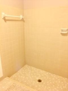 159 Stillwater Circle Jupiter, FL 33458 - Photo 14 of 27 Master Bath shower
