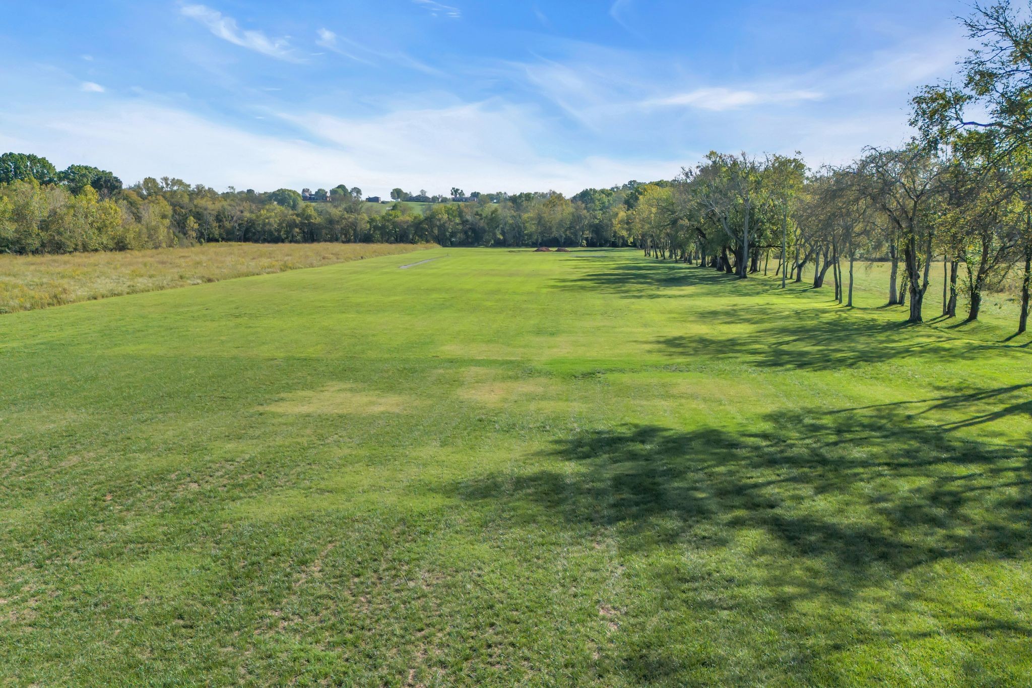 4855 Murfreesboro Road Arrington, TN 37014 - Photo 20 of 63 a view of a field with trees in the background