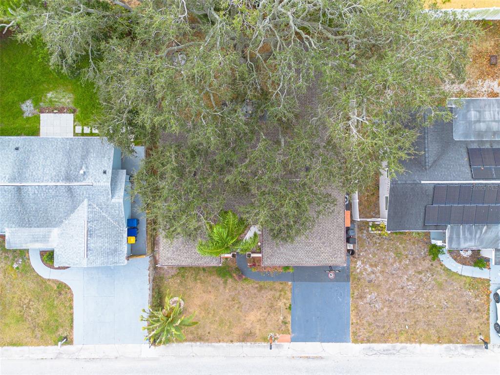 3322 Fairmount Drive Holiday, FL 34691 - Photo 5 of 29 view of a house with a yard