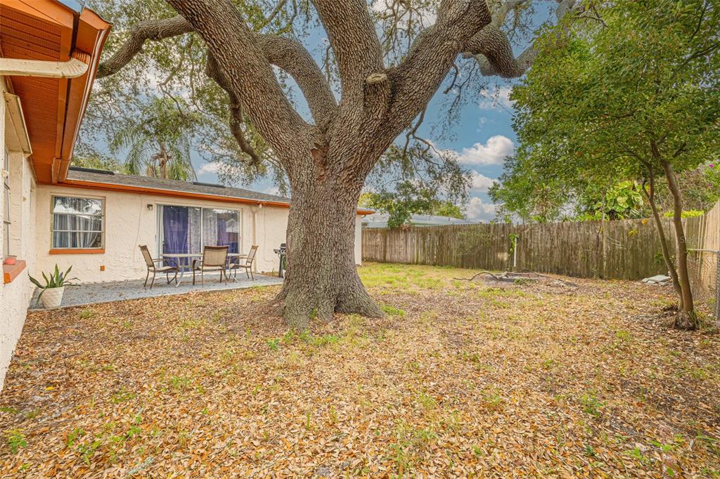 3322 Fairmount Drive Holiday, FL 34691 - Photo 10 of 29 a view of a yard with a house and a large tree