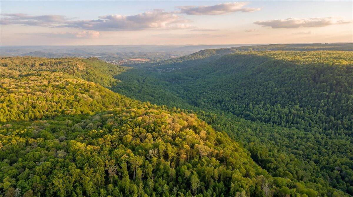 0 Sequatchie Mountain Road Sequatchie, TN 37374 - Photo 22 of 28 13-hf_20260418_012251_d92bd452-290b-4bef