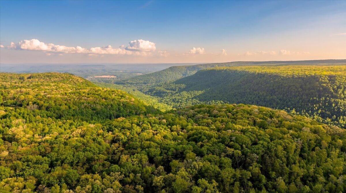 0 Sequatchie Mountain Road Sequatchie, TN 37374 - Photo 23 of 28 14-hf_20260418_012424_b9ffa16b-1f92-4a43