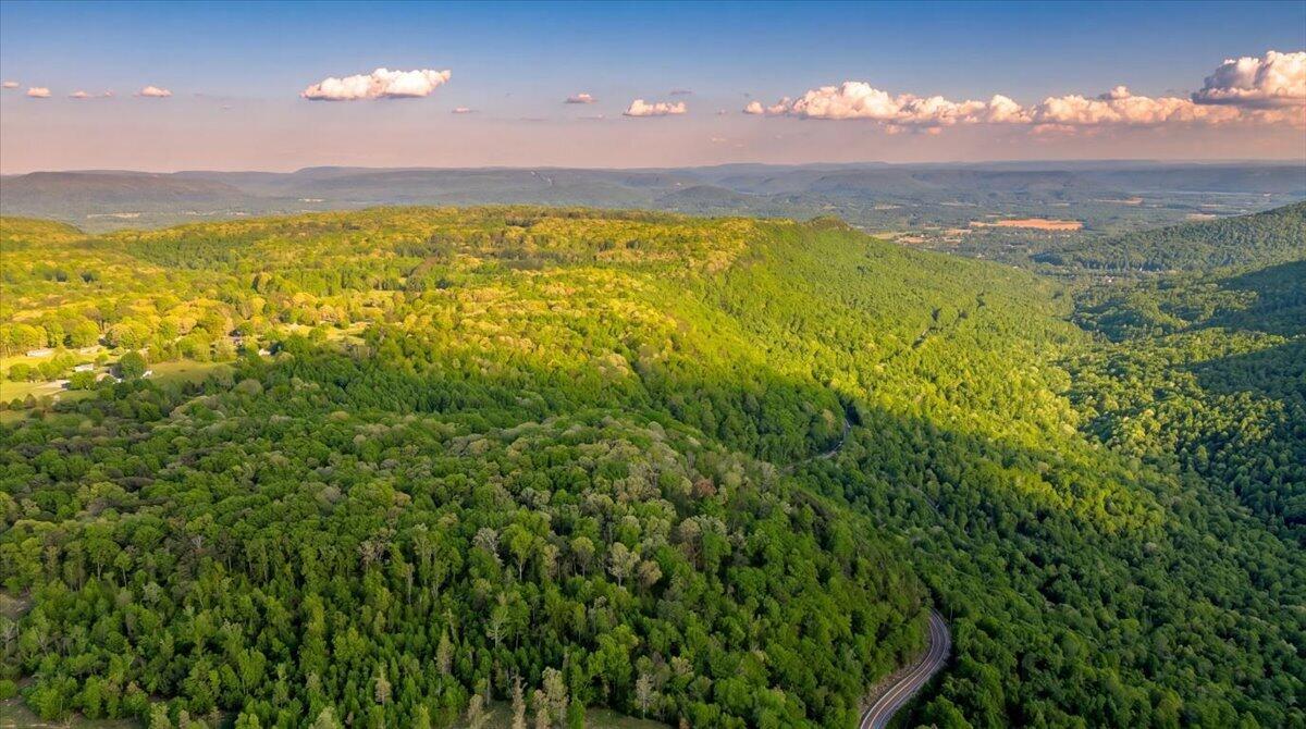 0 Sequatchie Mountain Road Sequatchie, TN 37374 - Photo 24 of 28 15-hf_20260418_012213_a1130289-0b54-4838