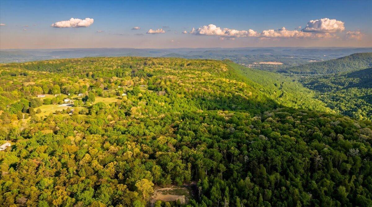 0 Sequatchie Mountain Road Sequatchie, TN 37374 - Photo 27 of 28 18-hf_20260418_012400_a24116e0-4a99-44bc