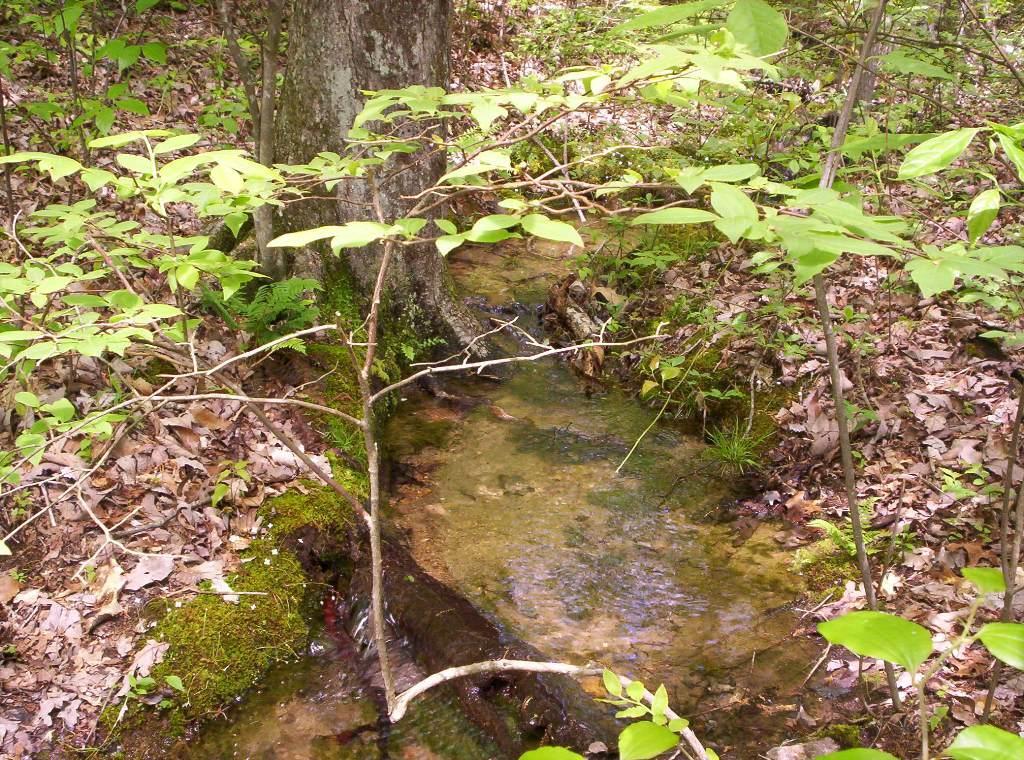 0 Sequatchie Mountain Road Sequatchie, TN 37374 - Photo 6 of 28 20160201175122460485000000-o