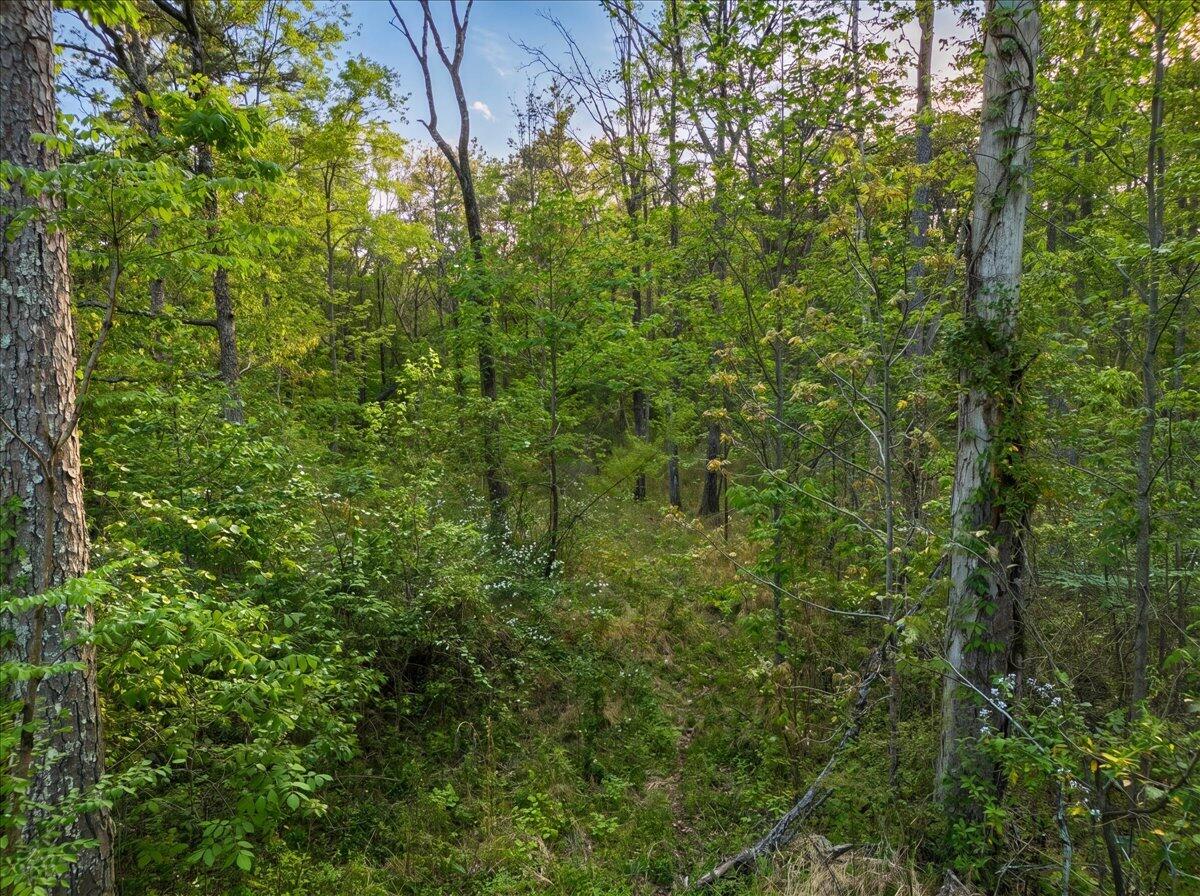 0 Sequatchie Mountain Road Sequatchie, TN 37374 - Photo 10 of 28 24-hf_20260418_011440_ed7ddf59-5ecc-4918