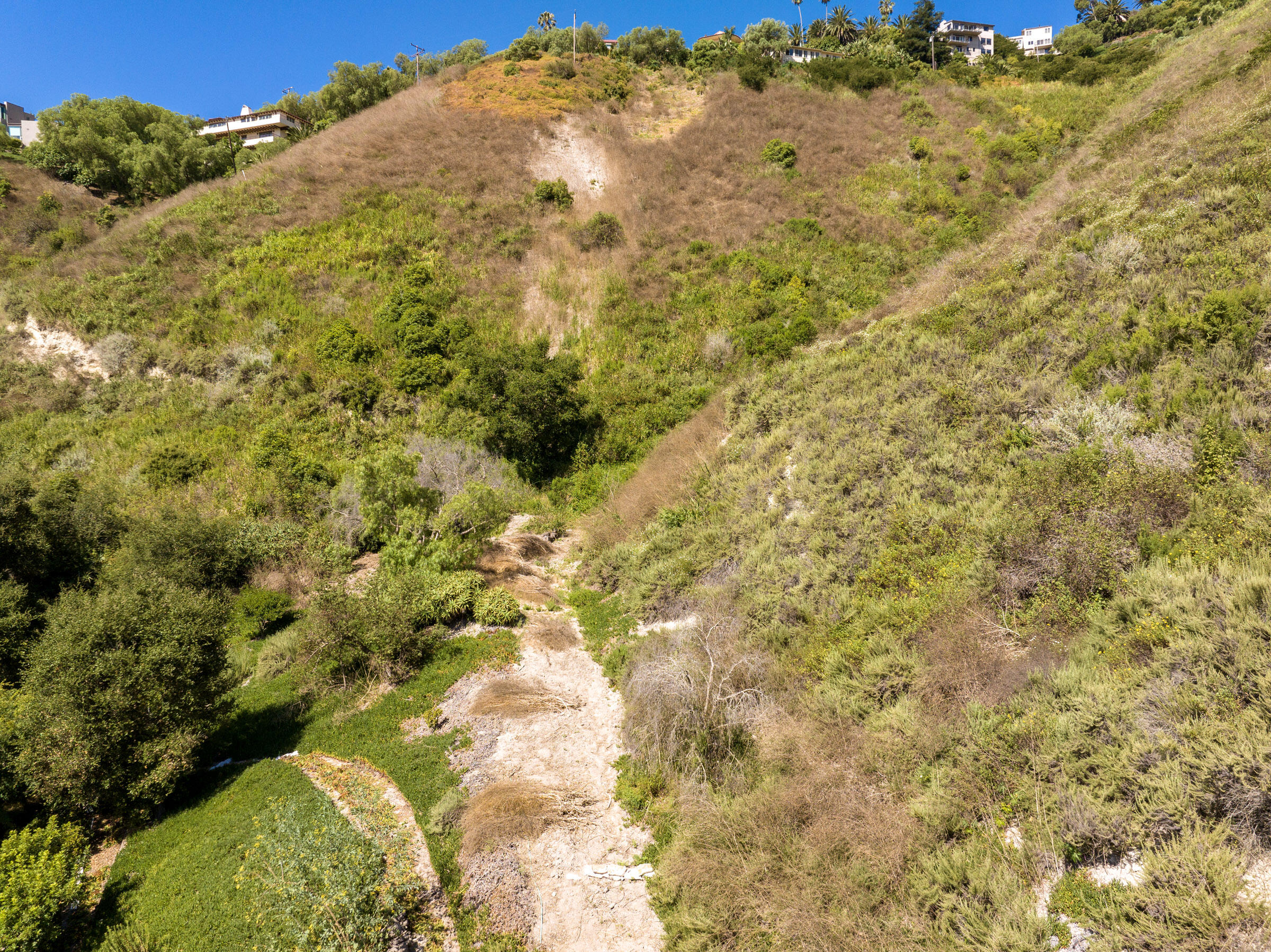 0 Sycamore Canyon Road Santa Barbara, CA 93103 - Photo 5 of 13 a view of a yard