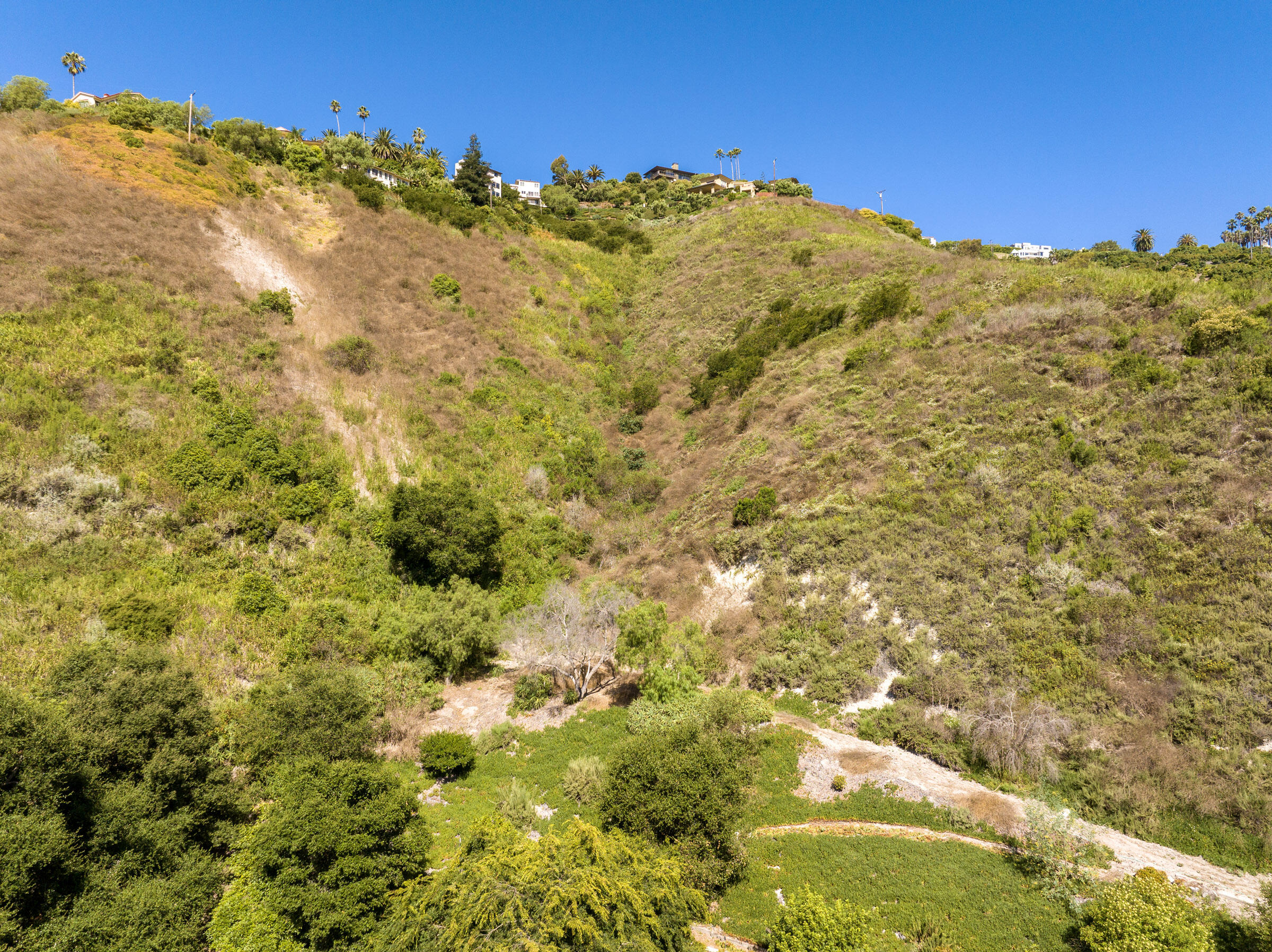 0 Sycamore Canyon Road Santa Barbara, CA 93103 - Photo 6 of 13 a view of a large tree with an outdoor space
