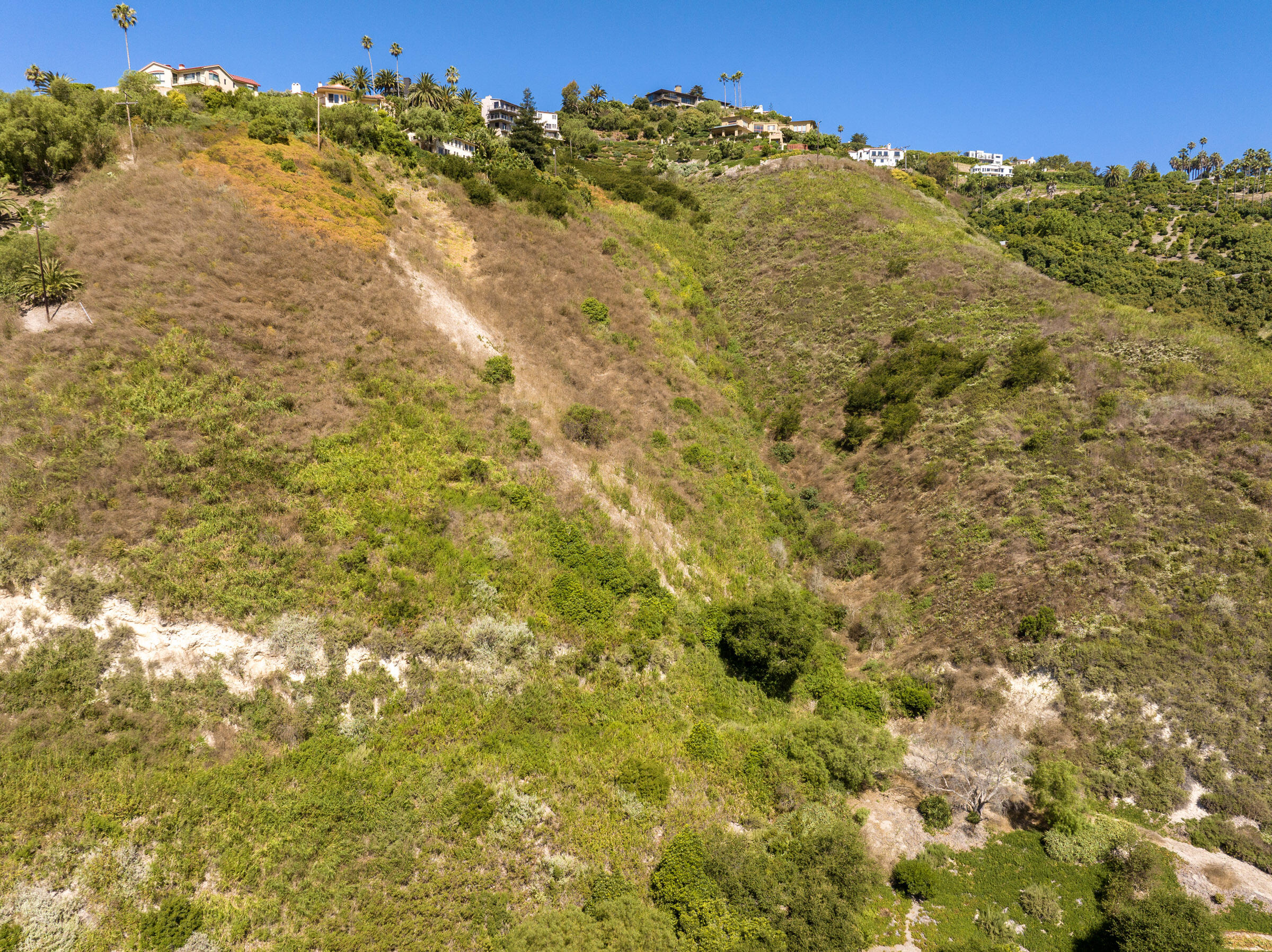 0 Sycamore Canyon Road Santa Barbara, CA 93103 - Photo 7 of 13 a view of a large yard with lots of trees