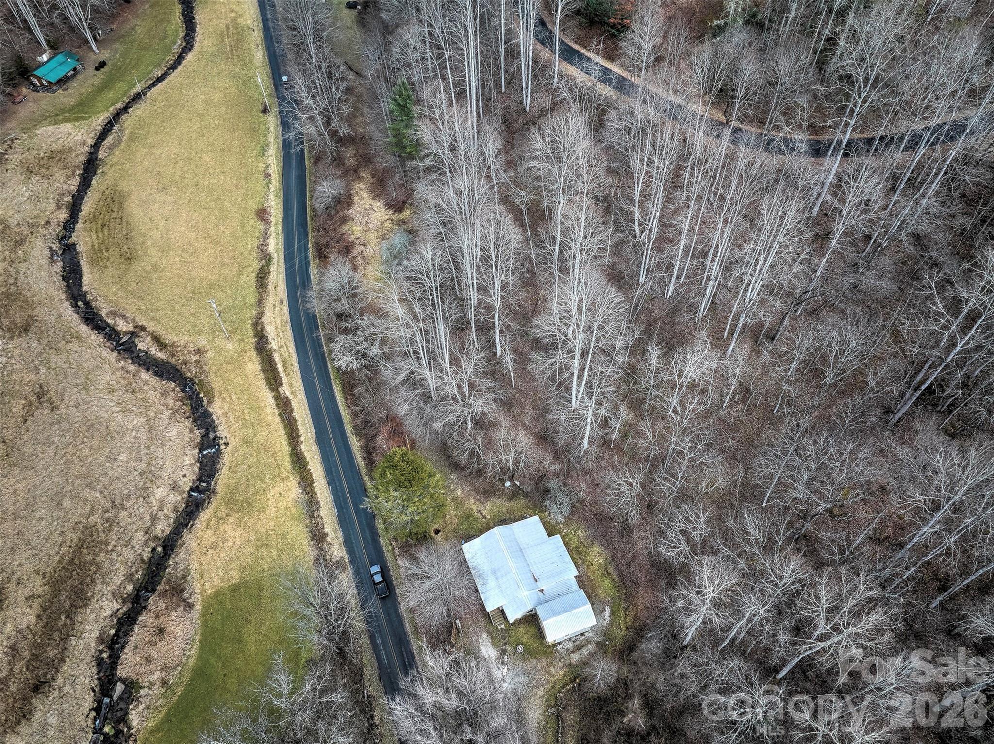 1101 Otter Creek Road Topton, NC 28781 - Photo 6 of 37 a picture of a yard