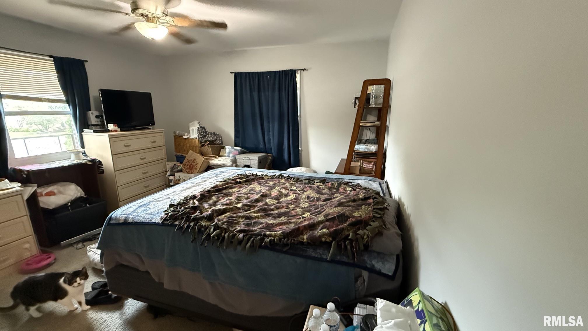 69 Nottingham Road Springfield, IL 62704 - Photo 27 of 32