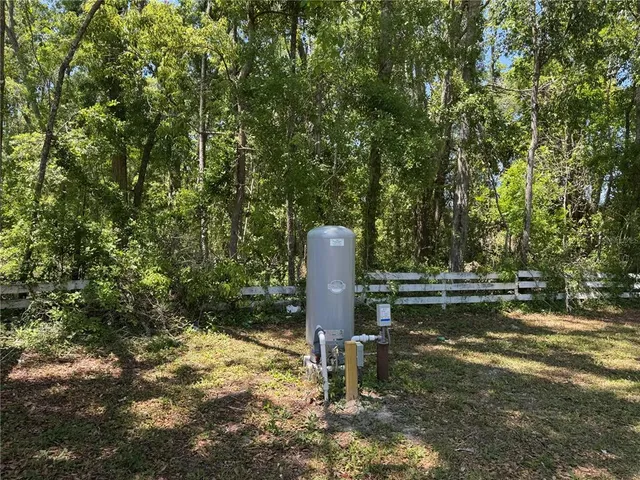 a garden view with a fountain