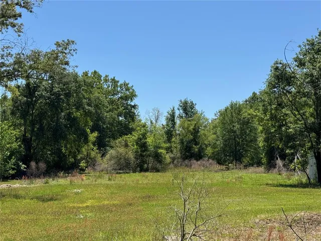 a view of a grassy field with trees