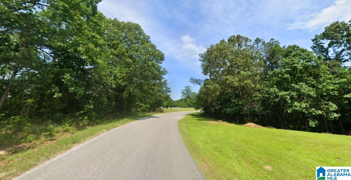 20 County Road Haleyville, AL 35565 - Photo 9 of 17