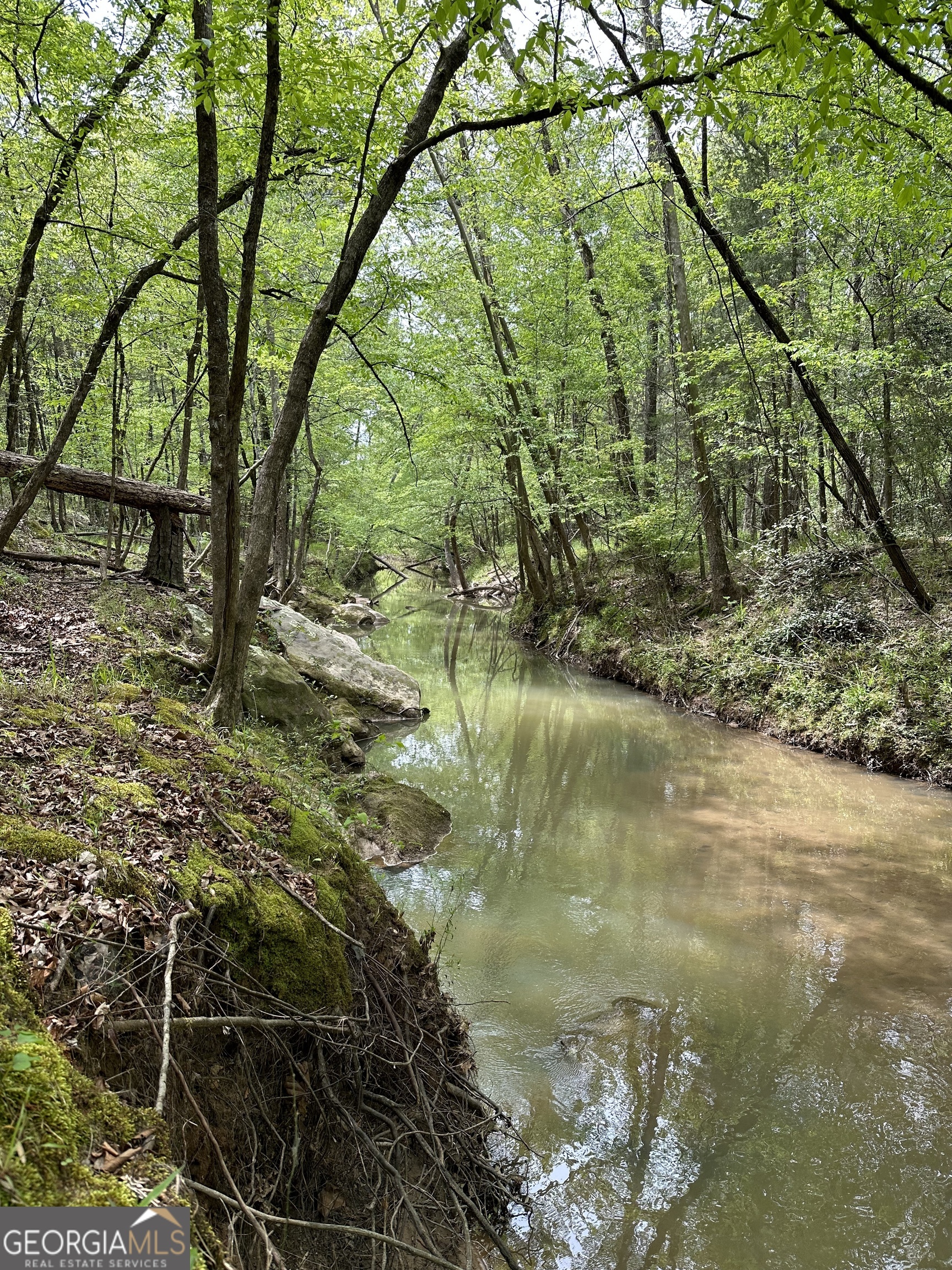 2762 Smith Road Fortson, GA 31808 - Photo 2 of 6 a backyard of a house with lots of green space