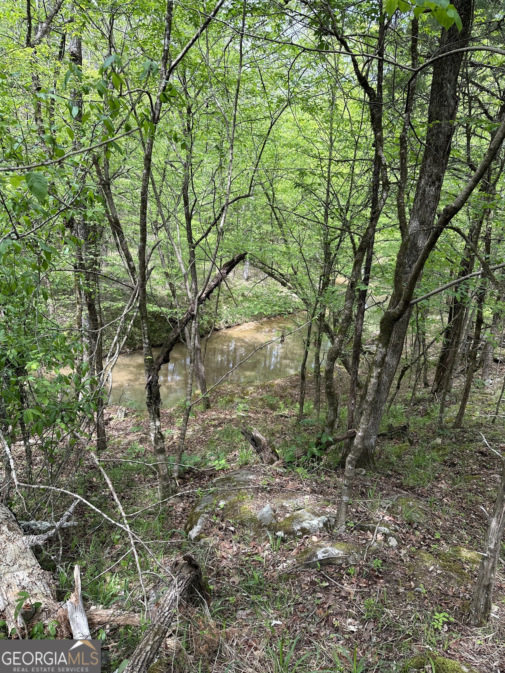 2762 Smith Road Fortson, GA 31808 - Photo 3 of 6 a backyard of a house with lots of plants and large trees