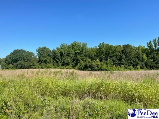 404 Steel Branch Road Cheraw, SC 29520 - Photo 1 of 1 Gallery Image 1