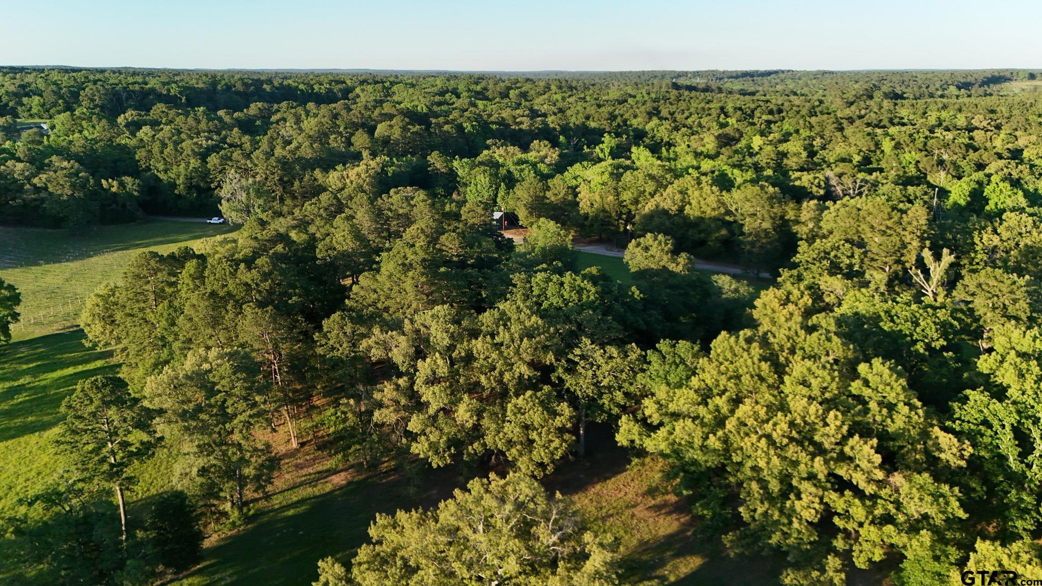 0 County Road 2680 Hawkins, TX 75765 - Photo 34 of 38