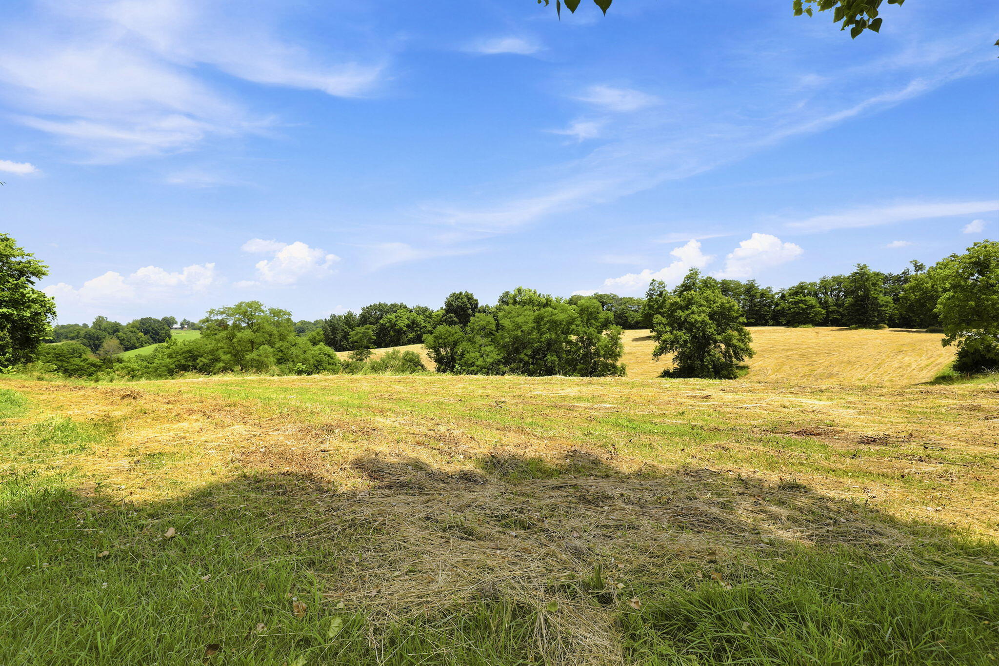 525 Chipman Ridge Road Williamstown, KY 41097 - Photo 47 of 49 44-web-or-mls-43-print-_B6A0676
