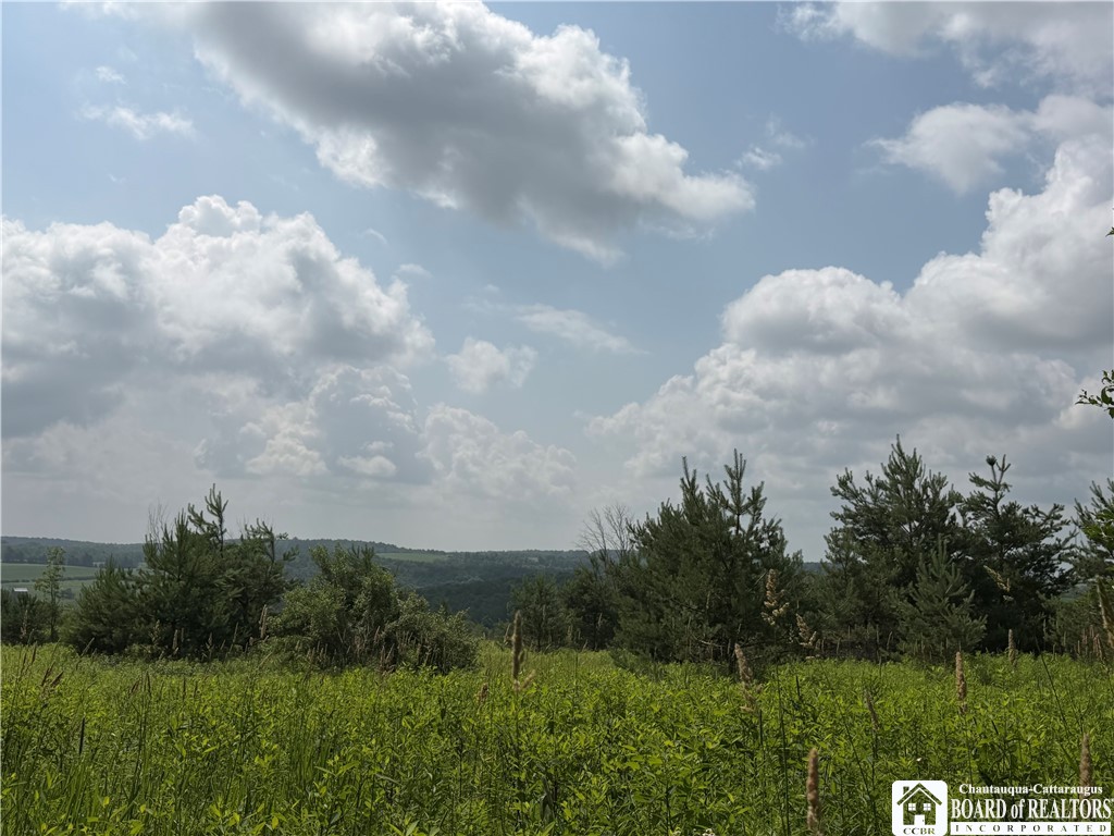 2751 Canfield Road Cohocton, NY 14826 - Photo 28 of 50