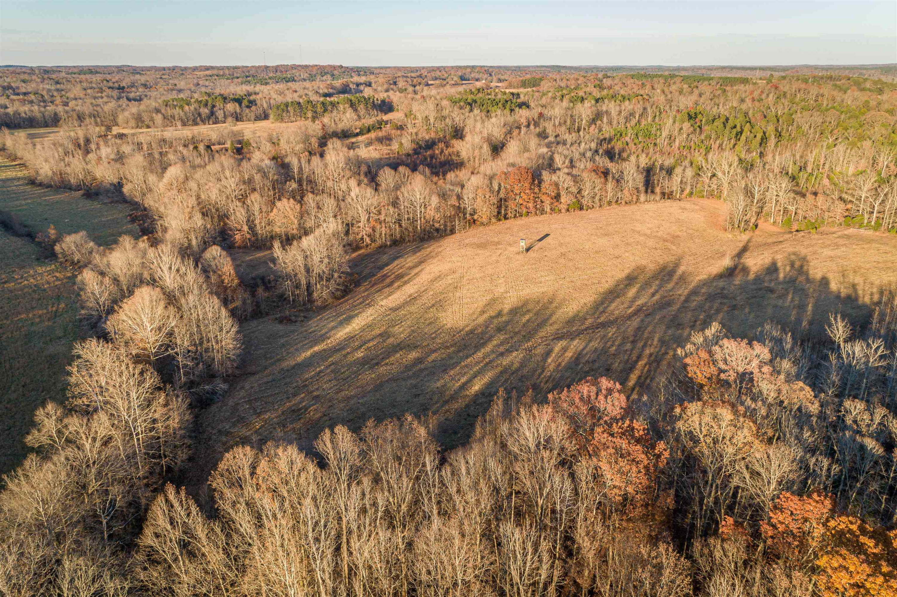 600 Hatchett Road Lexington, TN 38351 - Photo 12 of 24 Photo 12